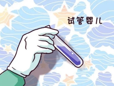 苏主任
